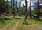 photo thumbnail #2