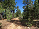 photo thumbnail #1