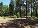 photo thumbnail #5
