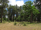 photo thumbnail #10