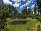 photo thumbnail #7