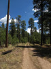 photo thumbnail #11