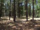 photo thumbnail #12