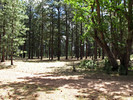 photo thumbnail #13