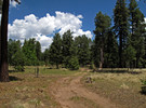 photo thumbnail #14