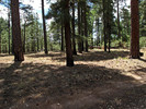 photo thumbnail #15