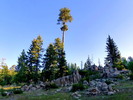 photo thumbnail #5