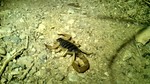 photo thumbnail #11