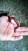 photo thumbnail #12
