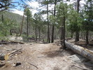 photo thumbnail #1