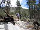 photo thumbnail #4