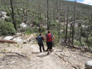photo thumbnail #6