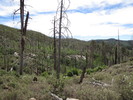 photo thumbnail #7