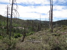 photo thumbnail #8