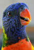 photo thumbnail #13
