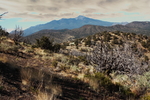 photo thumbnail #6