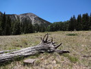 photo thumbnail #6