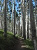 photo thumbnail #12