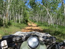 photo thumbnail #7
