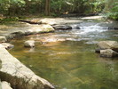 photo thumbnail #8