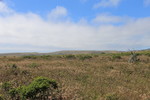 photo thumbnail #14