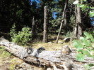 photo thumbnail #6