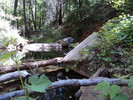 photo thumbnail #8