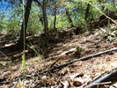 photo thumbnail #12