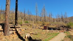 photo thumbnail #6