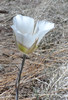 photo thumbnail #14