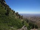 photo thumbnail #6