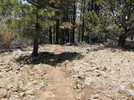 photo thumbnail #4