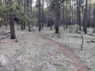 photo thumbnail #8