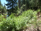 photo thumbnail #9