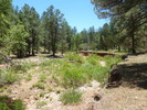 photo thumbnail #8