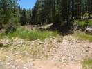 photo thumbnail #10