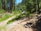 photo thumbnail #15