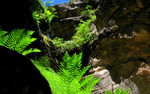photo thumbnail #14