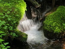 photo thumbnail #13