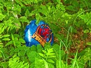 photo thumbnail #5