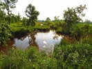 photo thumbnail #14