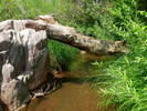 photo thumbnail #15