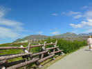 photo thumbnail #5