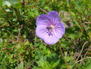 photo thumbnail #12