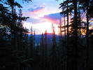 photo thumbnail #11