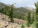 photo thumbnail #11