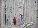 photo thumbnail #15