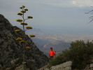 photo thumbnail #4