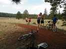 photo thumbnail #4