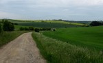 photo thumbnail #2